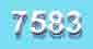 image capcha