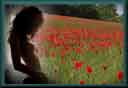 image diaporama diaporamas