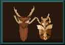 image diaporama diaporamas