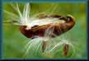 image diaporama diaporamas